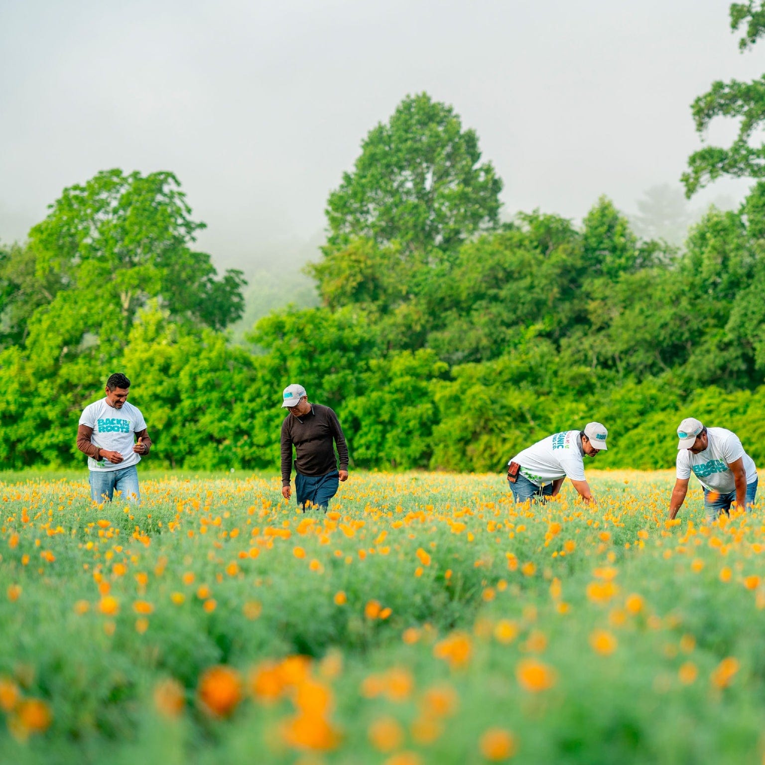 farmer picture